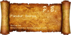 Pandur Borsa névjegykártya